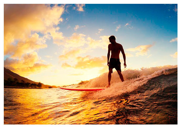 Surf guided tours